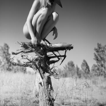 Фотография #683885, фотосъемка ню, автор: Федотов Вадим