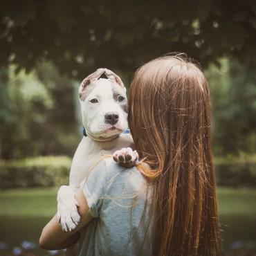 Альбом: Фотосъемка животных, 14 фотографий
