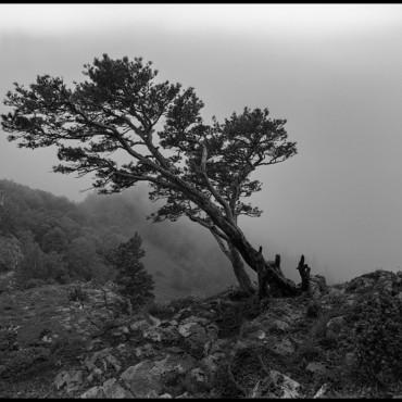 Альбом: Плёнка СФ Ч/Б - Пейзаж , 10 фотографий