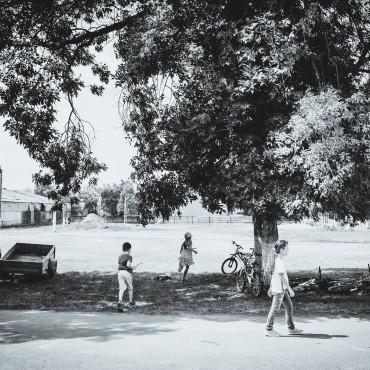 Фотография #691902, репортажная фотосъемка, автор: Сергей Шульга