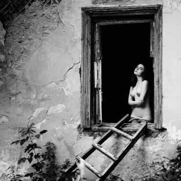Фотография #696375, фотосъемка ню, автор: Алексей Жарков