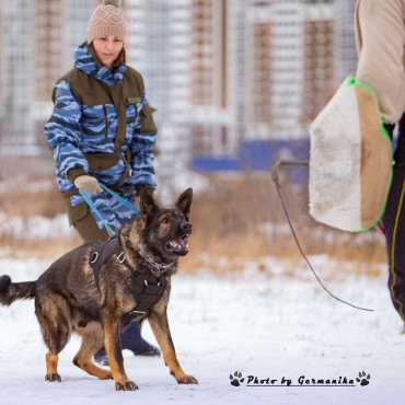 Фотография #705493, , автор: Юлия Германикова