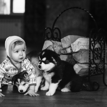 Фотография #720753, детская фотосъемка, автор: Катрина Деревеницкая
