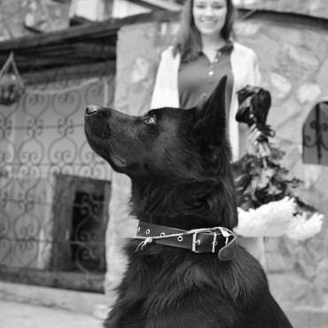 Фотография #724840, , автор: Константин Логинов