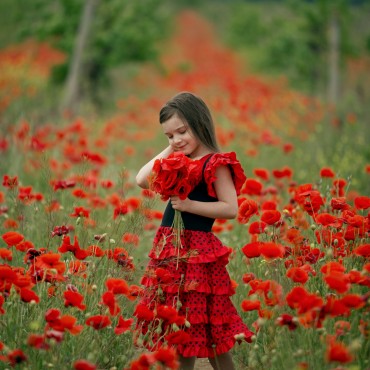 Фотография #733376, выездная фотосъемка, автор: Александра Погребняк