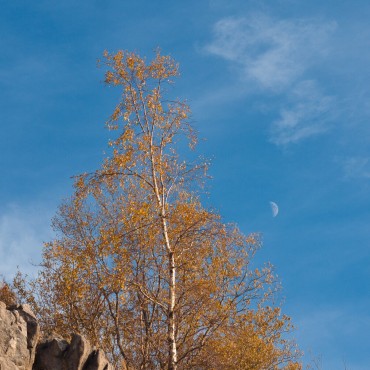 Фотография #738358, , автор: Сергей Шульга