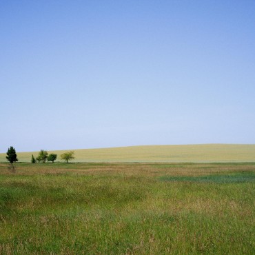 Фотография #738355, , автор: Сергей Шульга