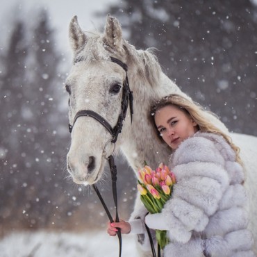 Фотография #740411, фотосъемка животных, автор: Оксана Александрова