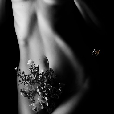 Фотография #757791, , автор: Леонид Маркачев