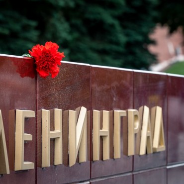 Фотография #771333, репортажная фотосъемка, автор: Алексей Кознев