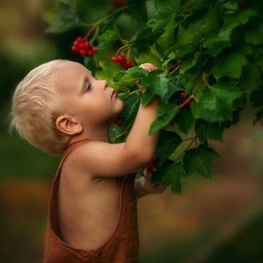 Фотография #771499, детская фотосъемка, автор: Анна Доброва