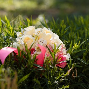 Альбом: Свадебная фотосъемка, 5 фотографий