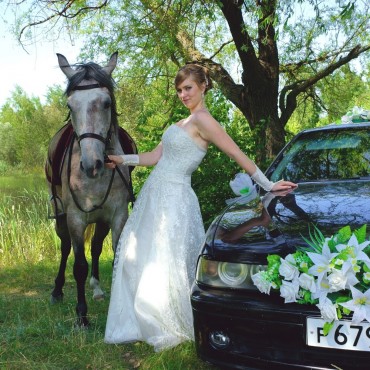 Фотография #776098, свадебная фотосъемка, автор: Александр Щёкин