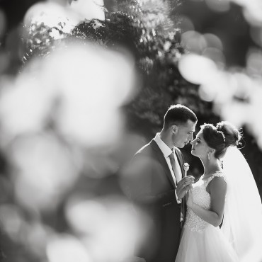 Фотография #779130, свадебная фотосъемка, автор: Алексей Кушин