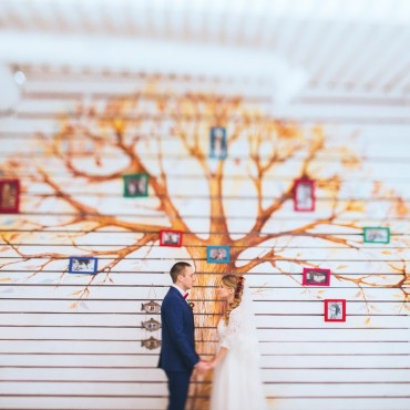 Альбом: Свадебная фотосъемка, 5 фотографий