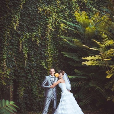 Фотография #779159, свадебная фотосъемка, автор: Павел Павленко