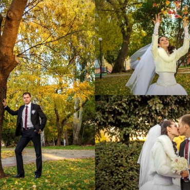 Фотография #779174, свадебная фотосъемка, автор: Людмила Грицай