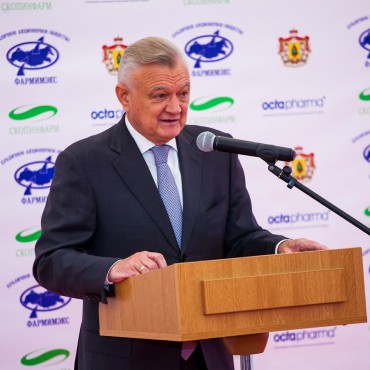 Альбом: Репортажная фотосъемка, 5 фотографий