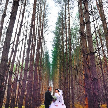 Фотография #779538, автор: Владимир Ковалев