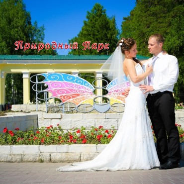 Альбом: Свадебная фотосъемка, 5 фотографий