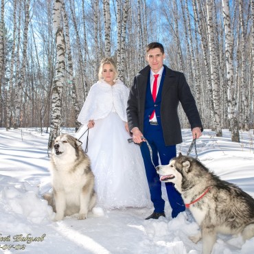 Фотография #782098, свадебная фотосъемка, автор: Вакулов Алексей