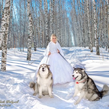 Фотография #782099, свадебная фотосъемка, автор: Вакулов Алексей