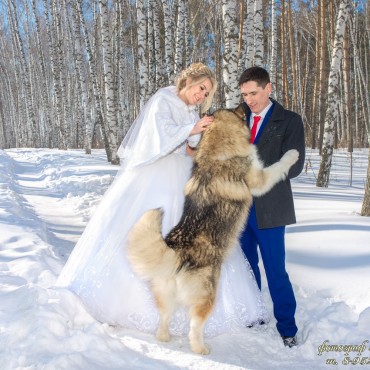 Альбом: Свадебная фотосъемка, 5 фотографий