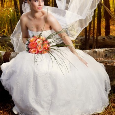 Фотография #774657, свадебная фотосъемка, автор: 7ulg 