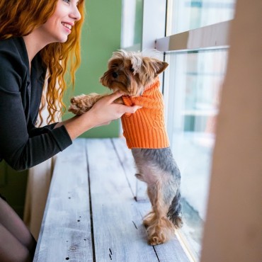 Фотография #774732, автор: Василиса Ровенко