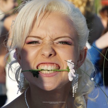 Фотография #774735, автор: Юра Ипполитов