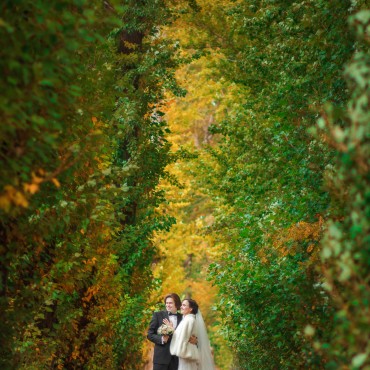 Фотография #787486, свадебная фотосъемка, автор: Александр Малинин