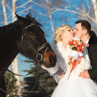 Фотография #787191, , автор: Александр Малинин