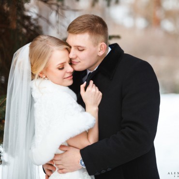 Альбом: Дима и Таня - Свадьба, 50 фотографий