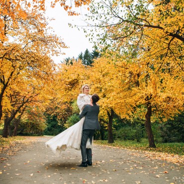 Фотография #787493, свадебная фотосъемка, автор: Александр Малинин