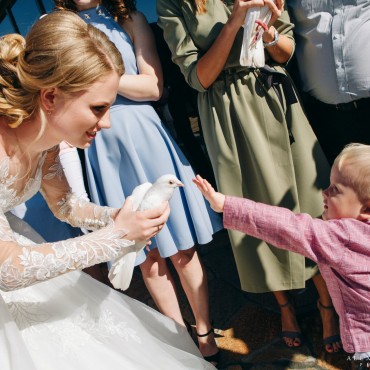 Фотография #787363, , автор: Александр Малинин