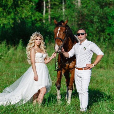 Фотография #787159, , автор: Александр Малинин