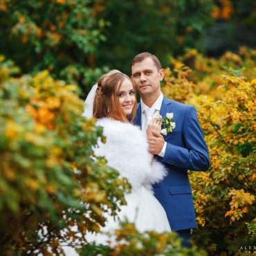 Фотография #787178, , автор: Александр Малинин