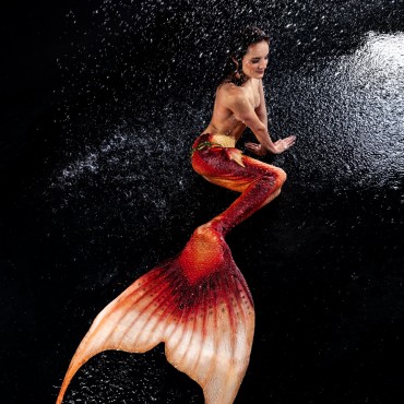 Фотография #788850, фотоколлаж, автор: Виктория Викул