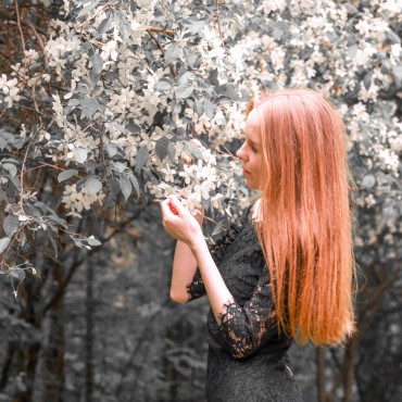Фотография #790057, фотосъемка для портфолио, автор: Никита Попов