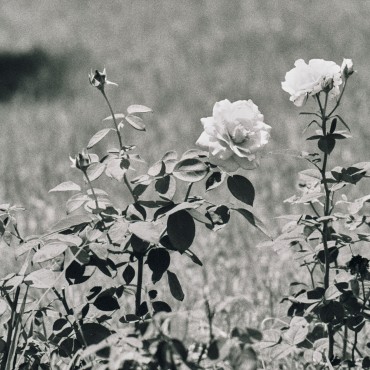 Альбом: Другое, 20 фотографий