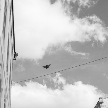Альбом: Репортажная фотосъемка, 10 фотографий
