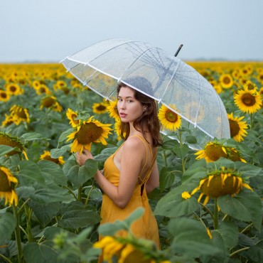 Фотография #799578, выездная фотосъемка, автор: Александра Погребняк