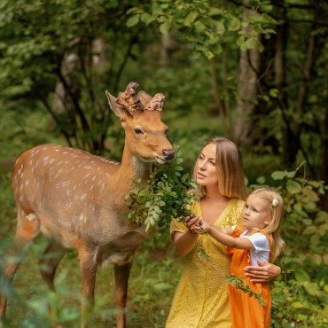 Фотография #800440, семейная фотосъемка, автор: Юлия Полукарова