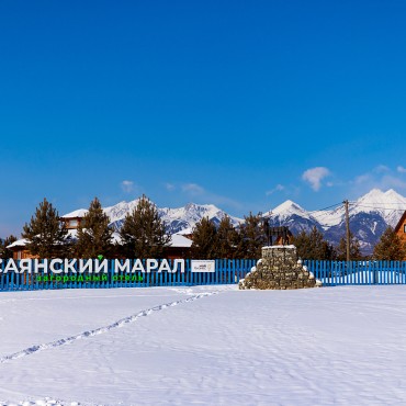 Фотография #807498, выездная фотосъемка, автор: Алена Даньшова