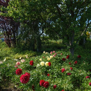 Фотография #810097, , автор: Сергей Шульга