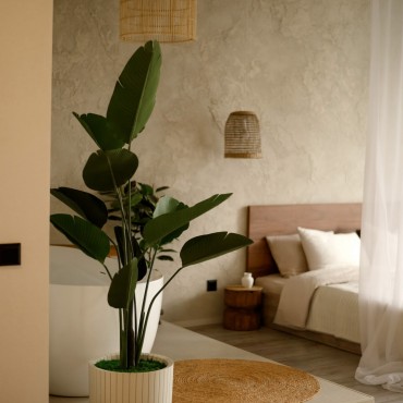 Фотография #810118, автор: Photo Island Фотография #810118, автор: Photo Island