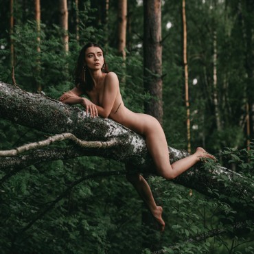 Фотография #810346, фотосъемка ню, автор: Олег Р