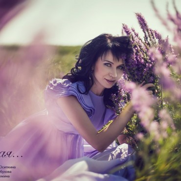 Фотография #810705, автор: Рустам Шанов