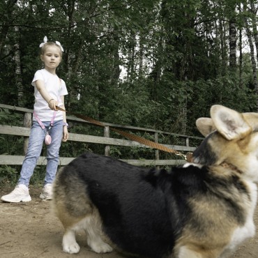 Фотография #811702, автор: Светлана  Родыгина