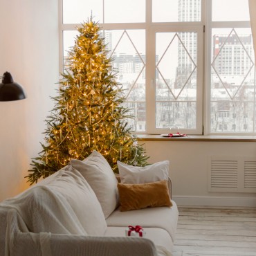 Фотография #811956, , автор: Фотостудия "МЯТА" 